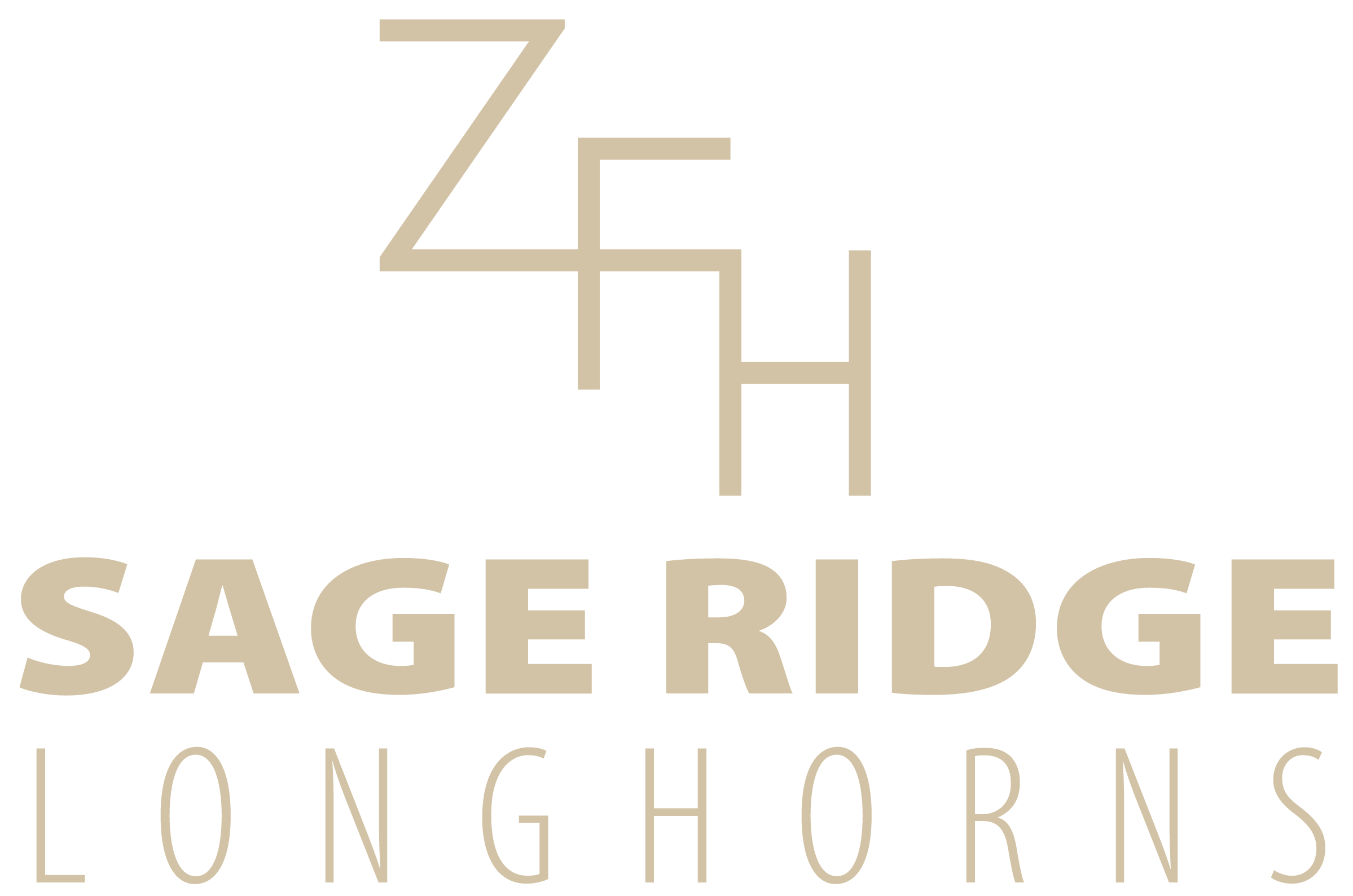 Sage Ridge Longhorns